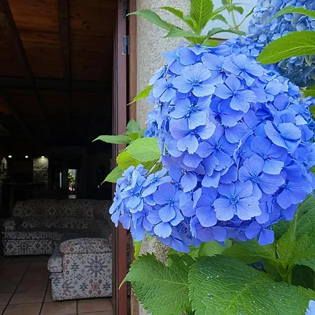 Vetusta Feriehus